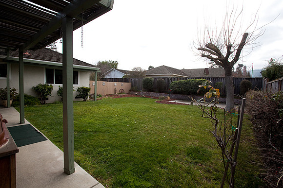 San Sau